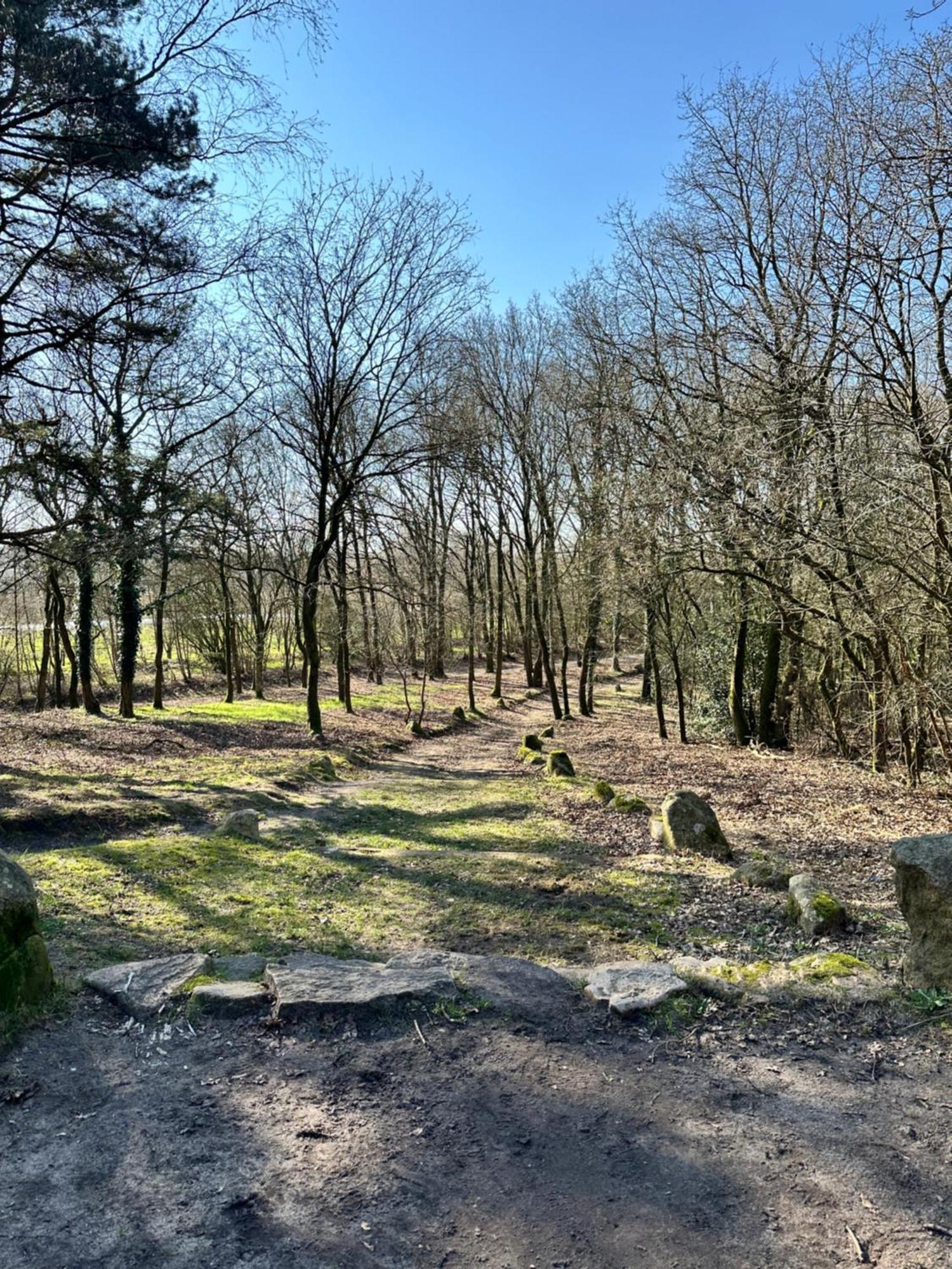 Fewo Am Tillysee In Wardenburg Exteriör bild