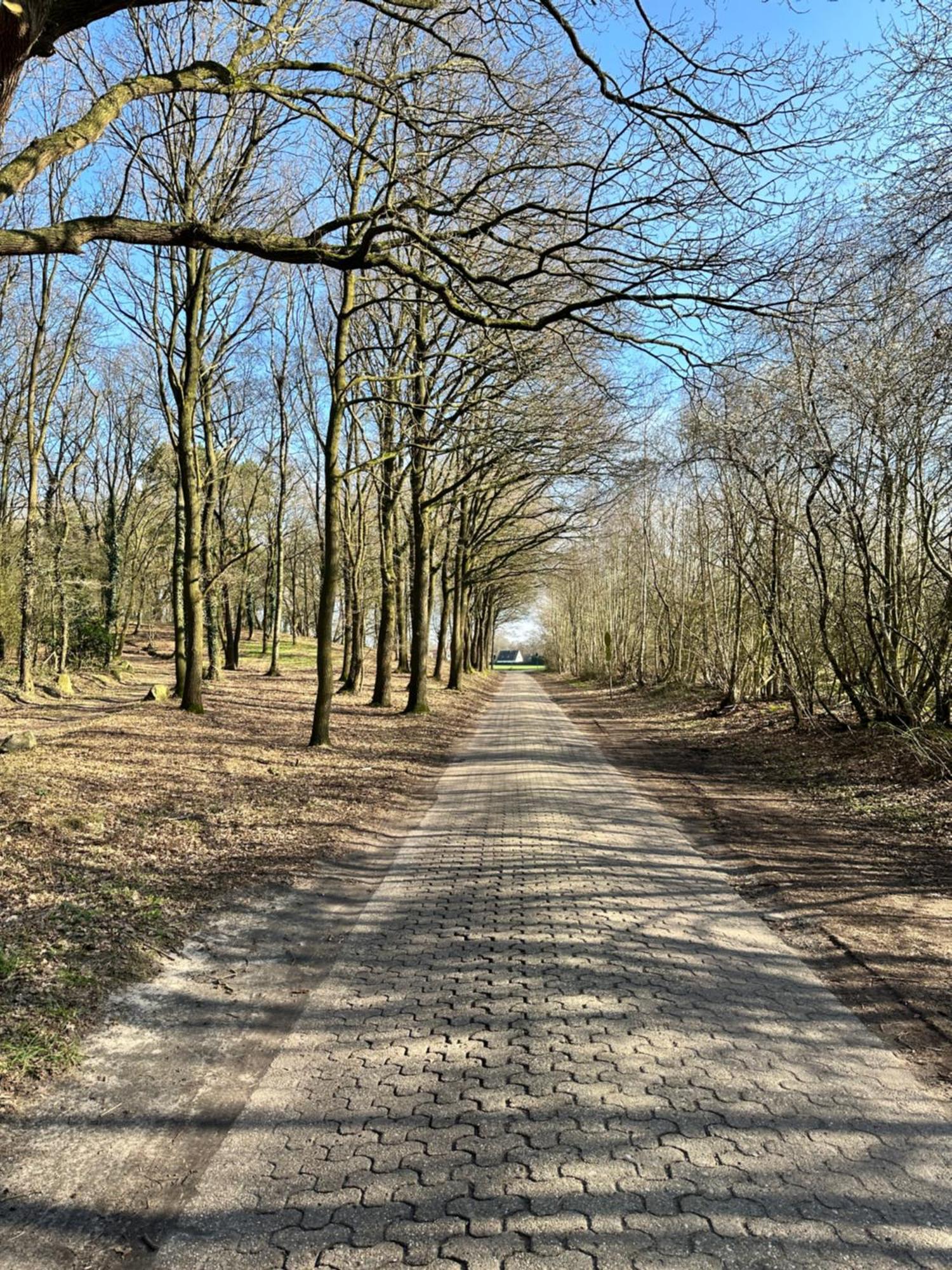 Fewo Am Tillysee In Wardenburg Exteriör bild